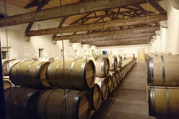 Wine tour in Sauternes & Pessac-Leognan - Bonjour Fun