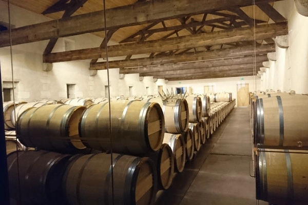 Wine tour in Sauternes & Pessac-Leognan - Bonjour Fun