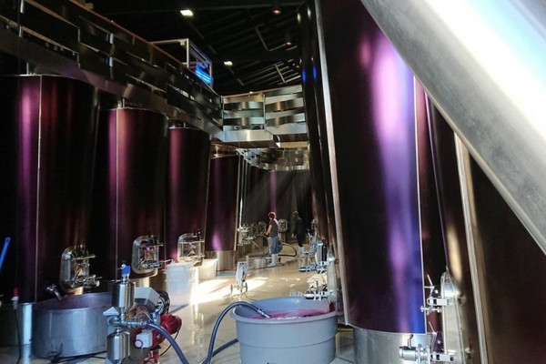 Full-day wine tour in Saint-Emilion (Premium Sedan) - Bonjour Fun