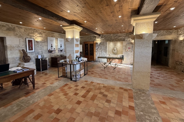 Private day tour from St-Emilion (Minivan or Sedan) - Bonjour Fun