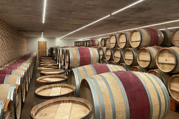 Private day tour from St-Emilion (Minivan or Sedan) - Bonjour Fun