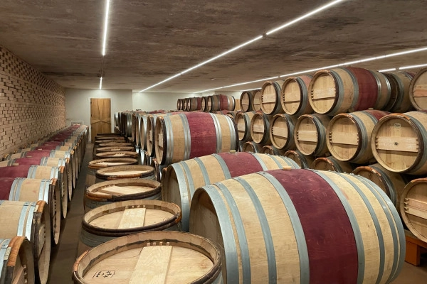 Private day tour from St-Emilion (Minivan or Sedan) - Bonjour Fun