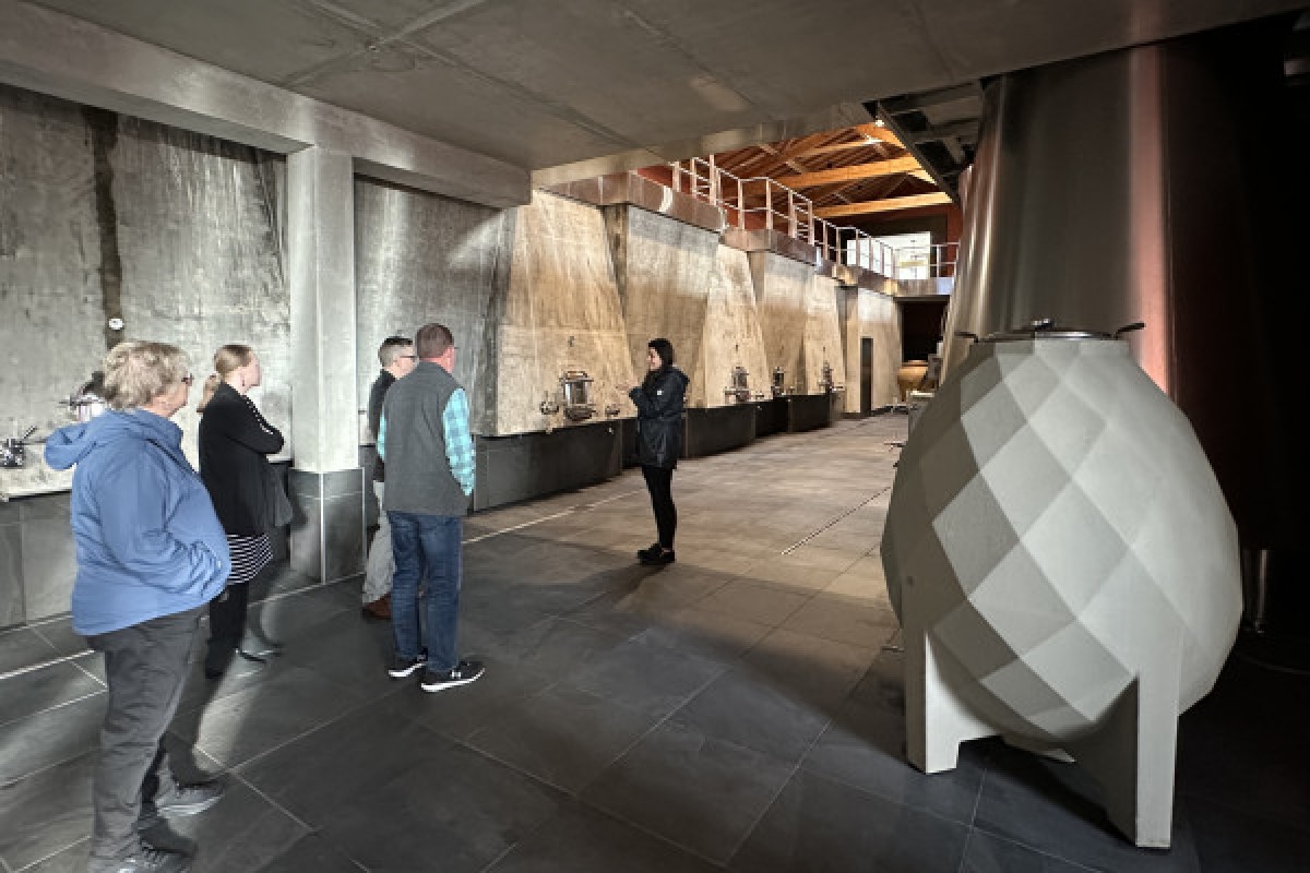 Medoc tour in a small group (Luxury Mercedes EQV) - Bonjour Fun