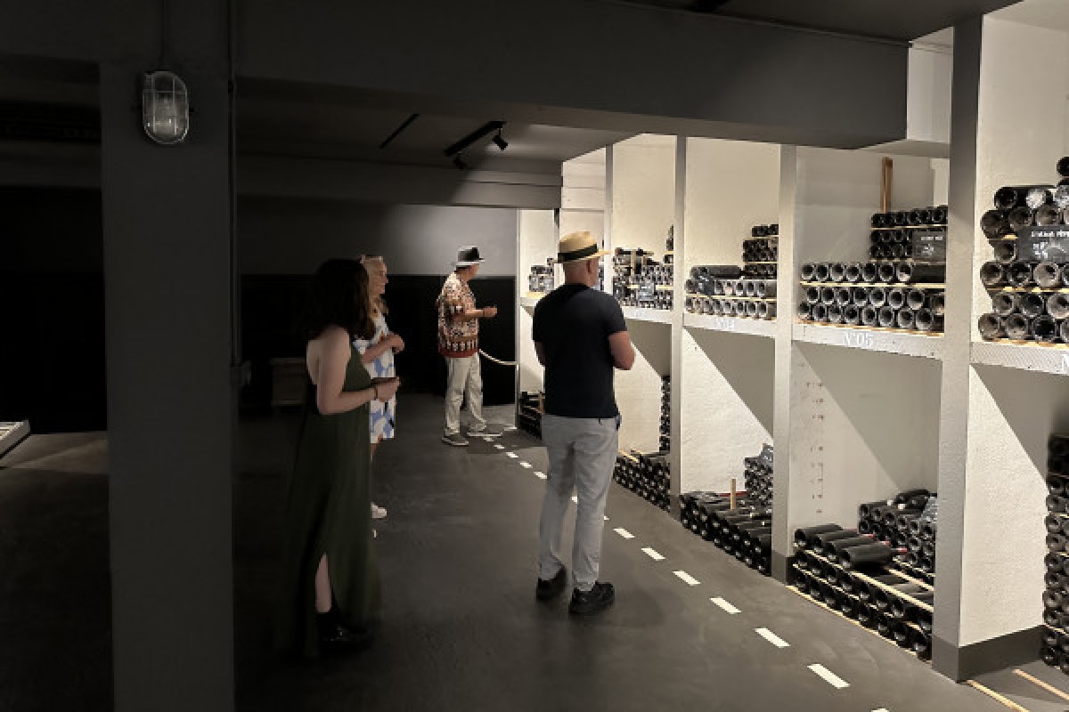 Medoc tour in a small group (Luxury Mercedes EQV) - Bonjour Fun