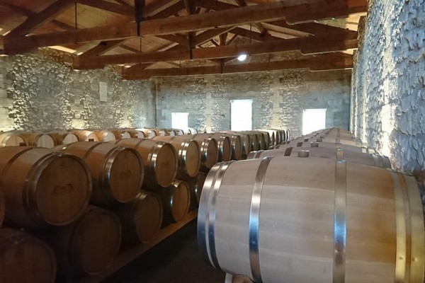 The Medoc Wine tour - Bonjour Fun