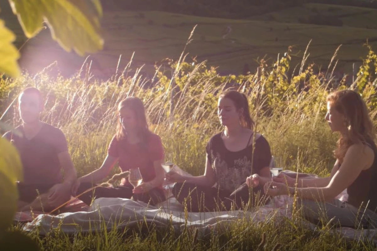 Yoga & Wine - Bonjour Fun