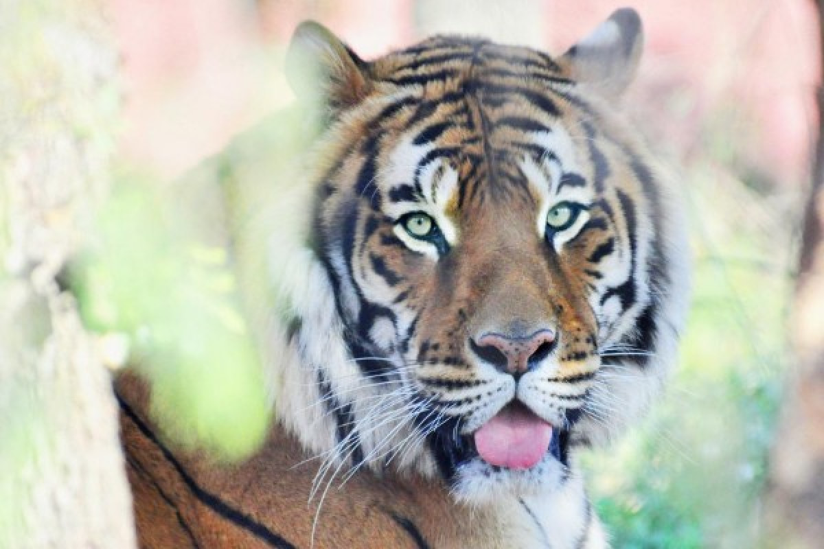 ZOO FREJUS - Bonjour Fun